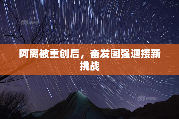 阿离被重创后，奋发图强迎接新挑战
