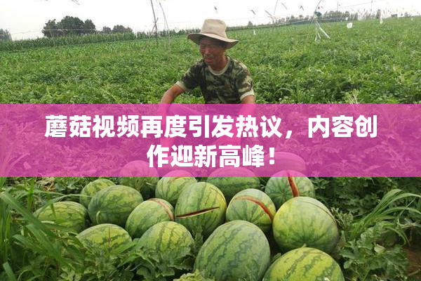 蘑菇视频再度引发热议，内容创作迎新高峰！