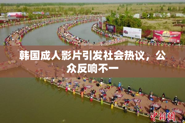 韩国成人影片引发社会热议，公众反响不一