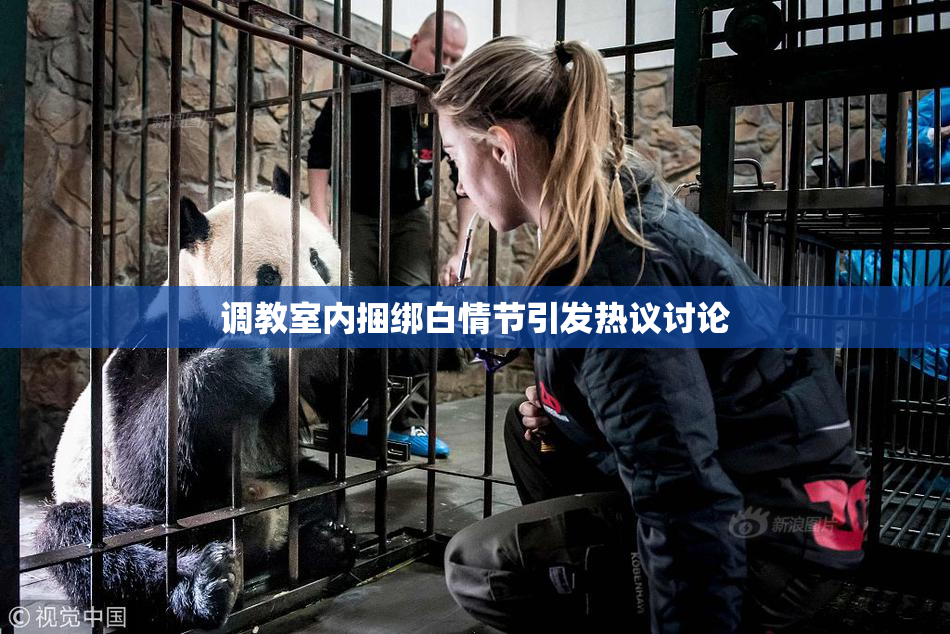 调教室内捆绑白情节引发热议讨论