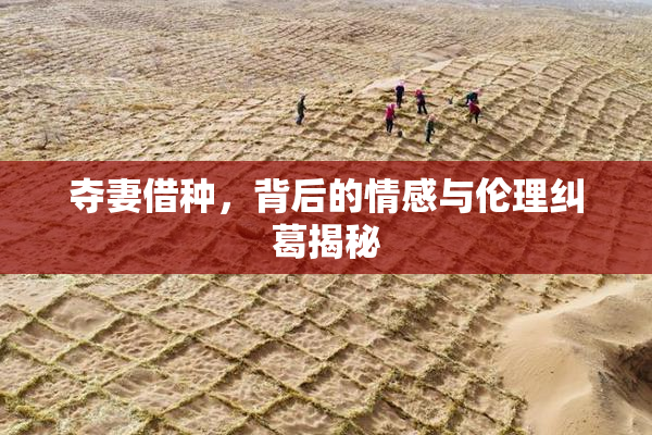 夺妻借种，背后的情感与伦理纠葛揭秘