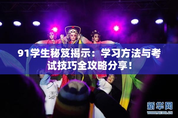 91学生秘笈揭示：学习方法与考试技巧全攻略分享！