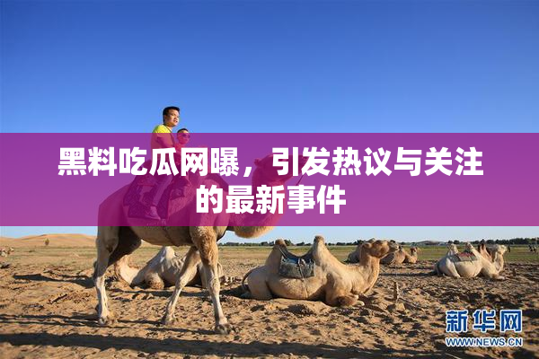 黑料吃瓜网曝，引发热议与关注的最新事件