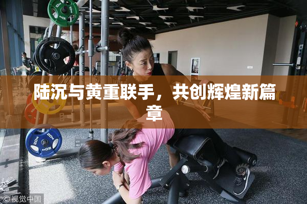 陆沉与黄重联手，共创辉煌新篇章