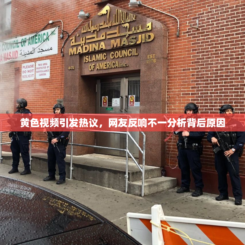 黄色视频引发热议，网友反响不一分析背后原因
