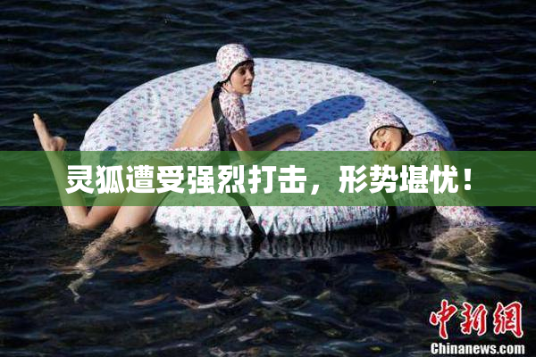 灵狐遭受强烈打击，形势堪忧！