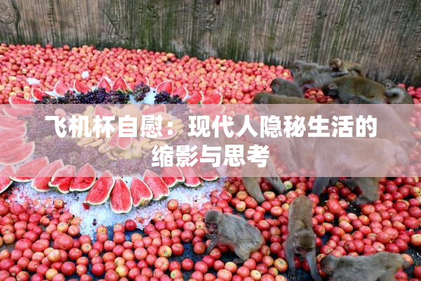 飞机杯自慰：现代人隐秘生活的缩影与思考
