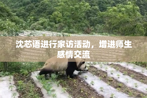 沈芯语进行家访活动，增进师生感情交流