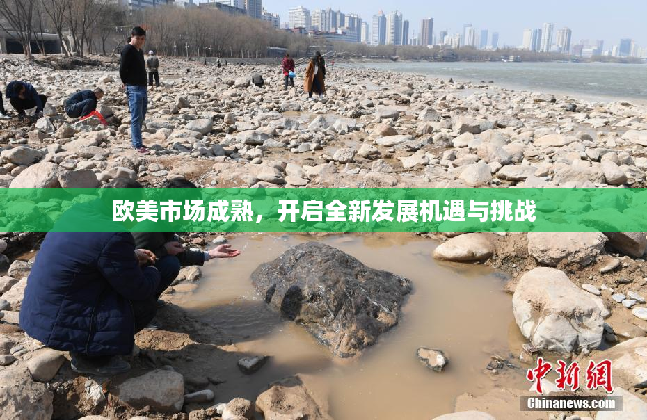 欧美市场成熟，开启全新发展机遇与挑战
