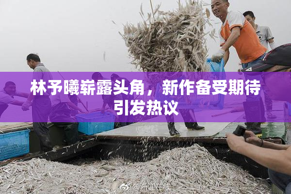 林予曦崭露头角，新作备受期待引发热议