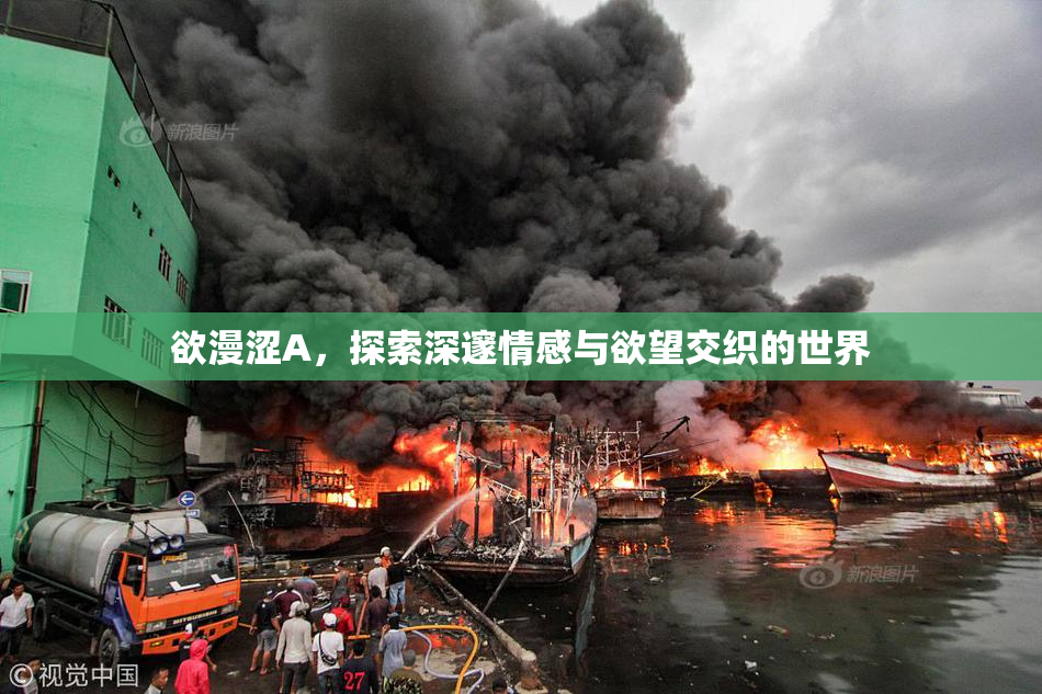 欲漫涩A，探索深邃情感与欲望交织的世界