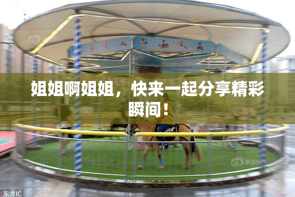 姐姐啊姐姐，快来一起分享精彩瞬间！