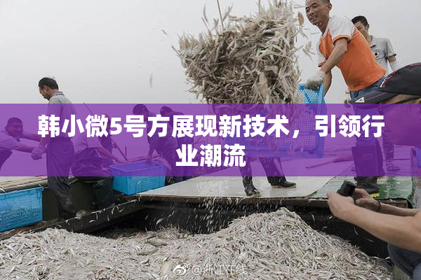 韩小微5号方展现新技术，引领行业潮流
