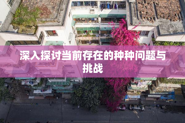深入探讨当前存在的种种问题与挑战