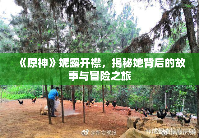 《原神》妮露开襟，揭秘她背后的故事与冒险之旅