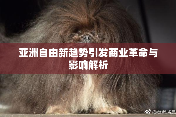 亚洲自由新趋势引发商业革命与影响解析
