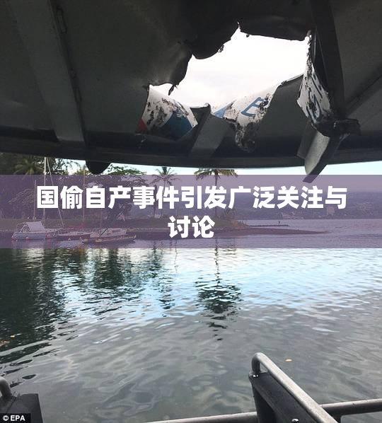 国偷自产事件引发广泛关注与讨论
