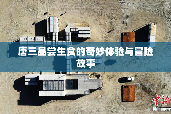 唐三品尝生食的奇妙体验与冒险故事