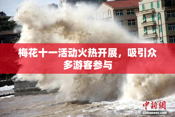 梅花十一活动火热开展，吸引众多游客参与