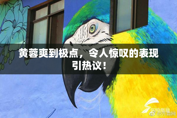 黄蓉爽到极点，令人惊叹的表现引热议！
