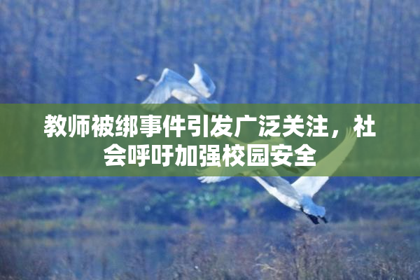 教师被绑事件引发广泛关注，社会呼吁加强校园安全