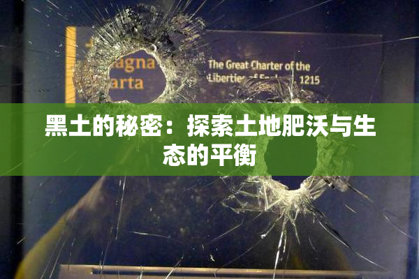 黑土的秘密：探索土地肥沃与生态的平衡