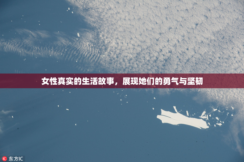 女性真实的生活故事，展现她们的勇气与坚韧