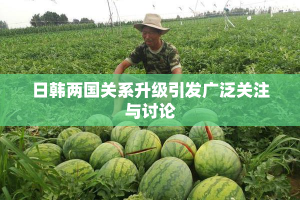 日韩两国关系升级引发广泛关注与讨论