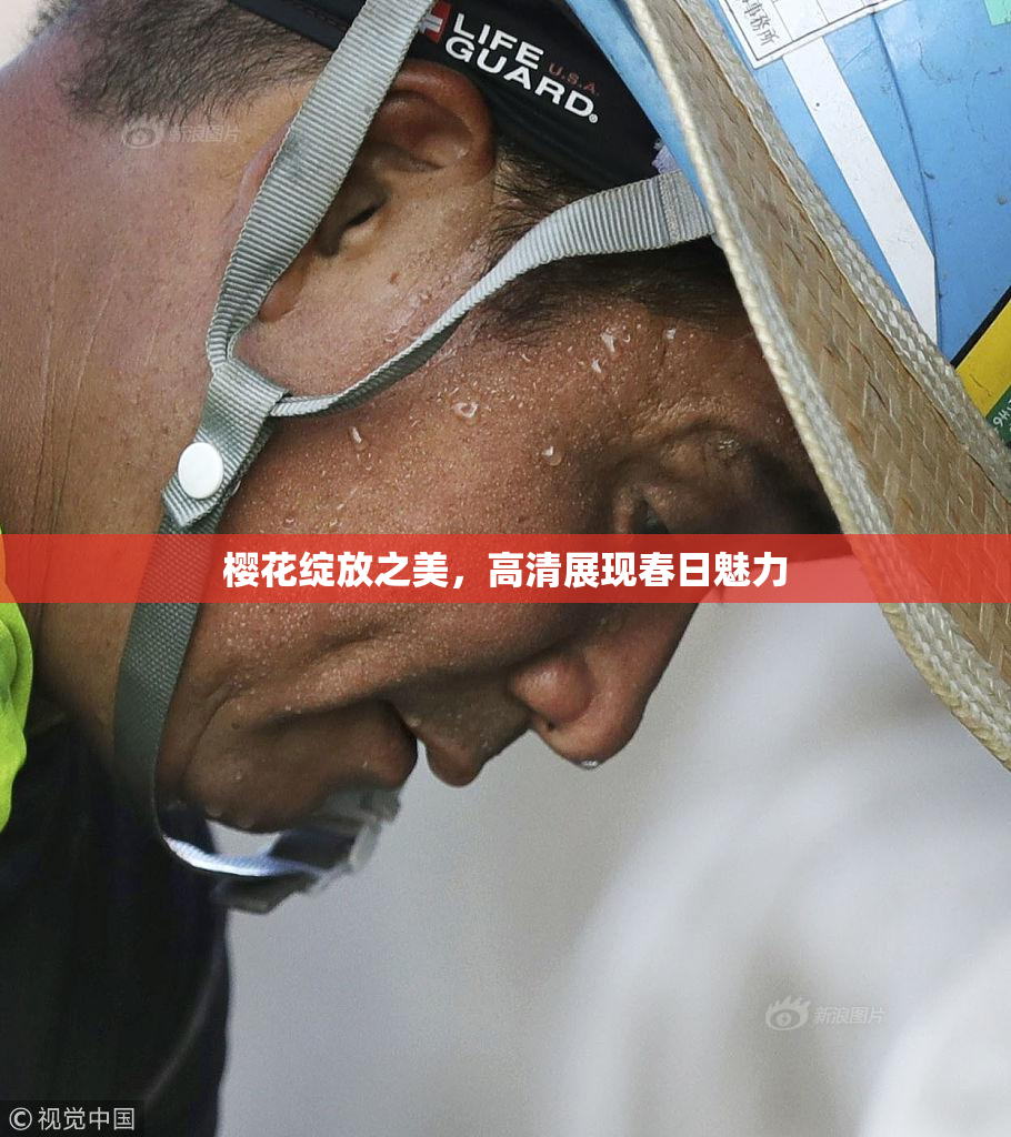 樱花绽放之美，高清展现春日魅力