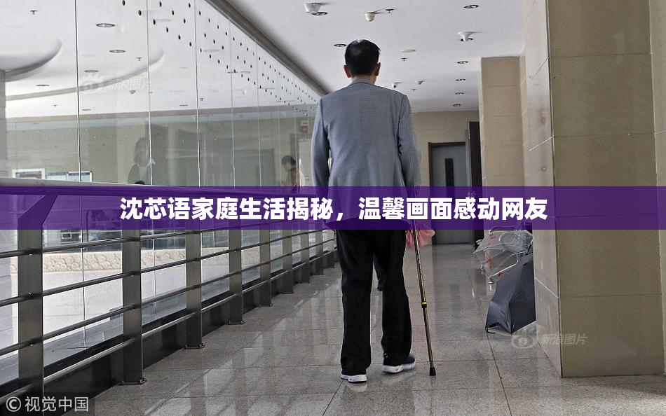 沈芯语家庭生活揭秘，温馨画面感动网友