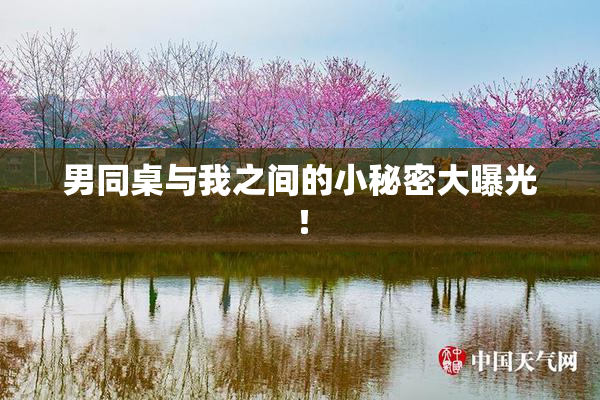 男同桌与我之间的小秘密大曝光！