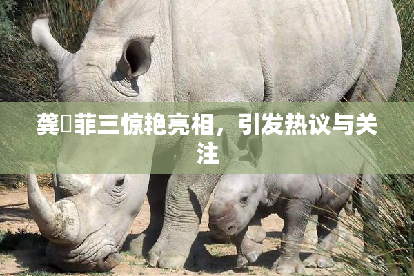 龚玥菲三惊艳亮相，引发热议与关注