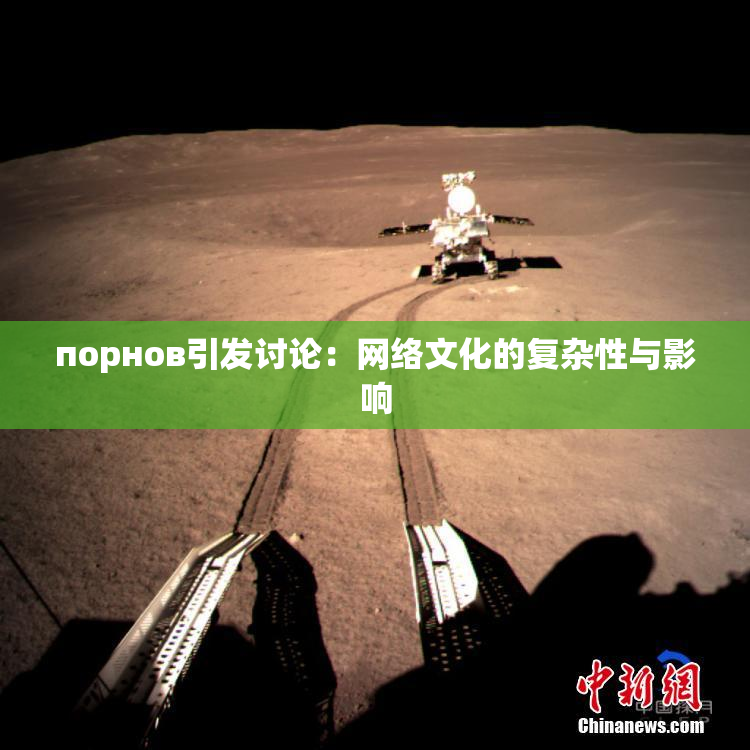 порнов引发讨论：网络文化的复杂性与影响