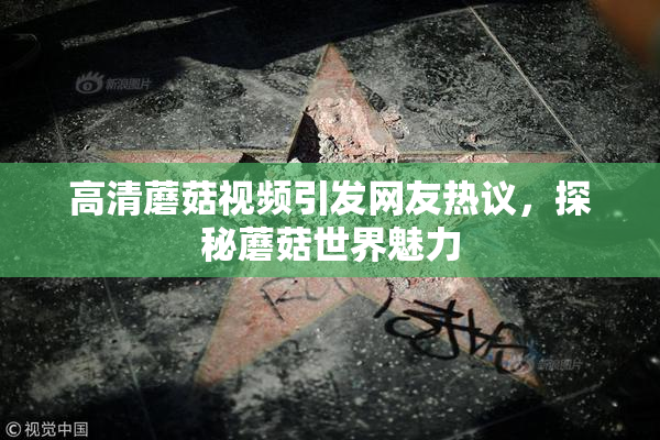 高清蘑菇视频引发网友热议，探秘蘑菇世界魅力