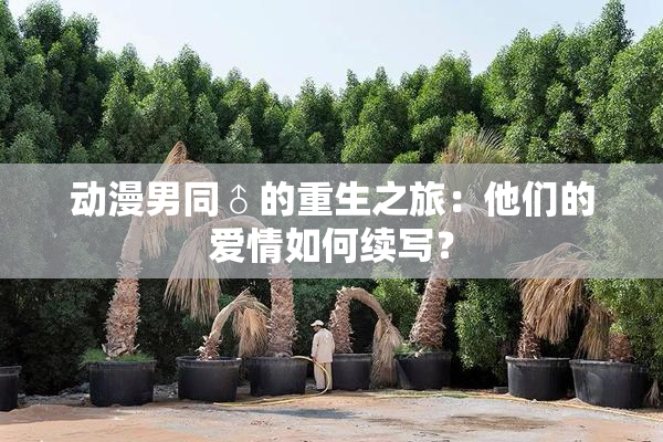 动漫男同♂的重生之旅：他们的爱情如何续写？