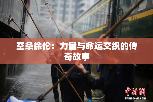 空条徐伦：力量与命运交织的传奇故事