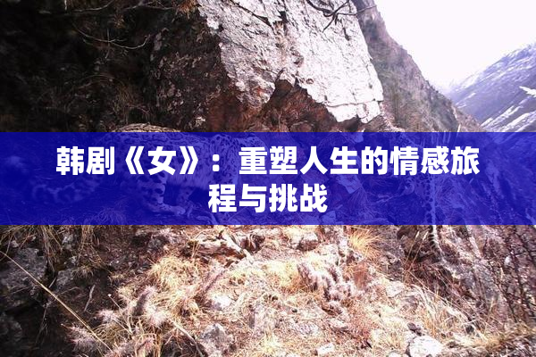韩剧《女》：重塑人生的情感旅程与挑战