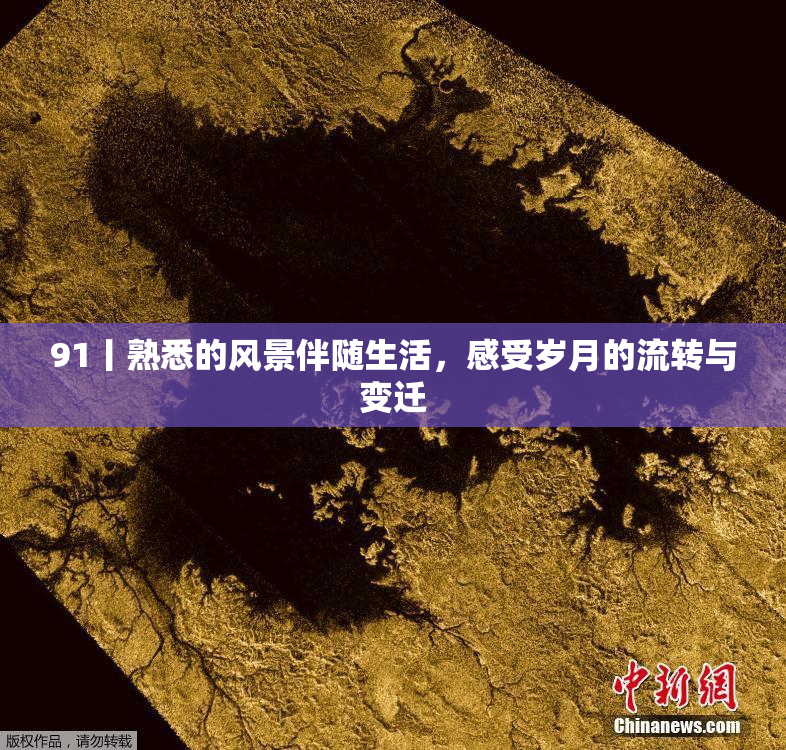 91丨熟悉的风景伴随生活，感受岁月的流转与变迁