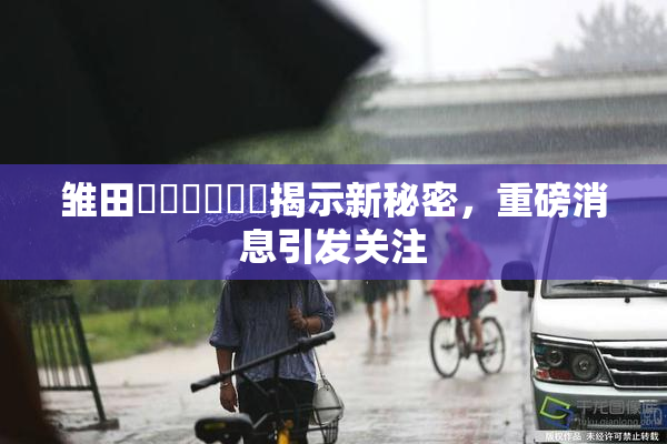雏田❌‌❌‌❌‌揭示新秘密，重磅消息引发关注
