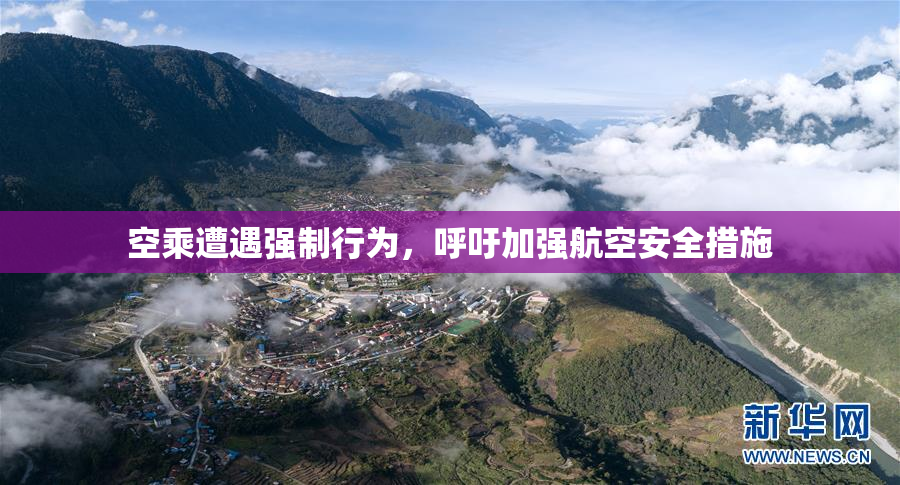 空乘遭遇强制行为，呼吁加强航空安全措施