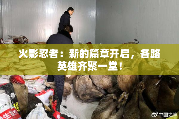火影忍者：新的篇章开启，各路英雄齐聚一堂！