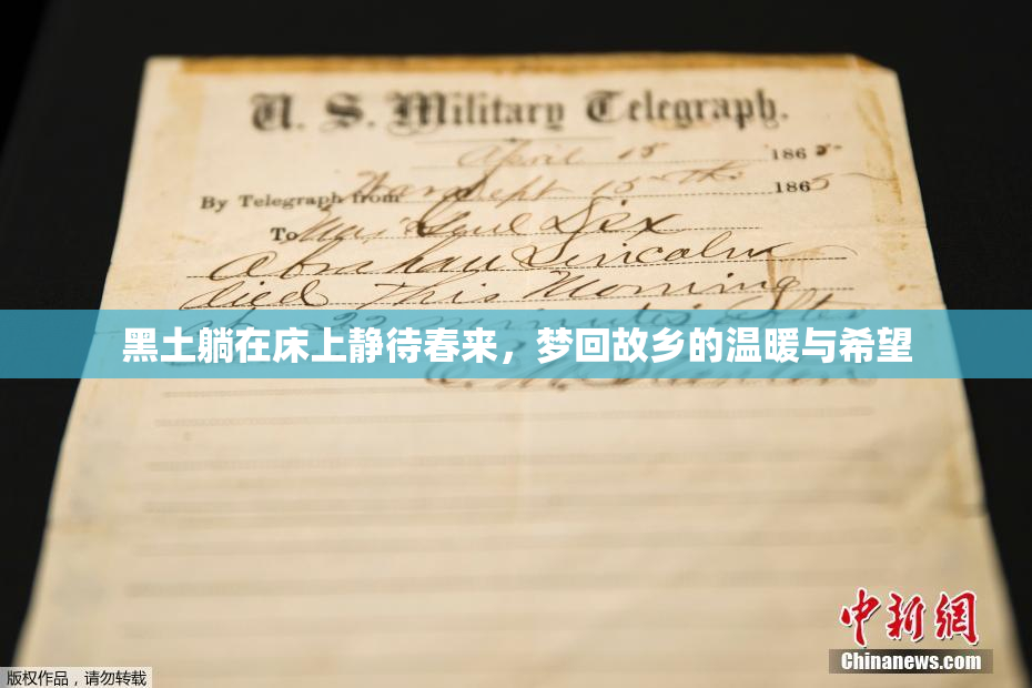 黑土躺在床上静待春来，梦回故乡的温暖与希望