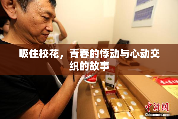 吸住校花，青春的悸动与心动交织的故事