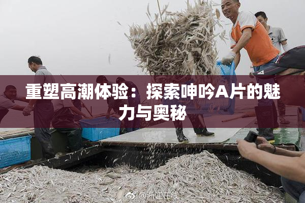 重塑高潮体验：探索呻吟A片的魅力与奥秘