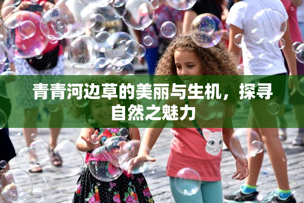 青青河边草的美丽与生机，探寻自然之魅力