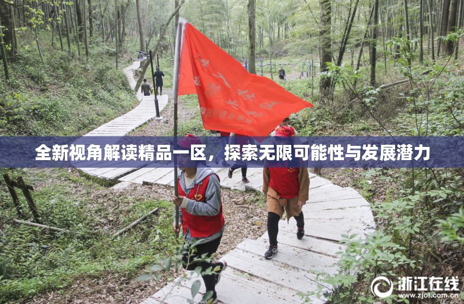 全新视角解读精品一区，探索无限可能性与发展潜力