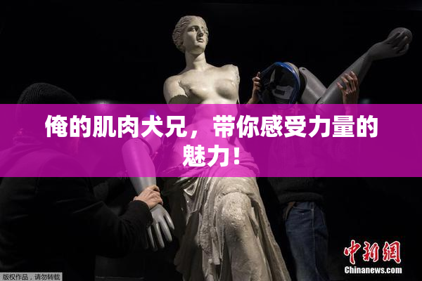 俺的肌肉犬兄，带你感受力量的魅力！