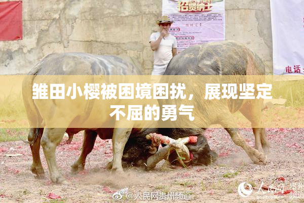 雏田小樱被困境困扰，展现坚定不屈的勇气