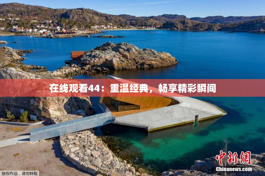 在线观看44：重温经典，畅享精彩瞬间