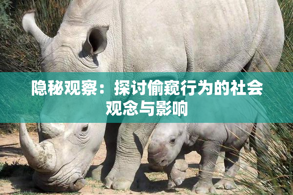 隐秘观察：探讨偷窥行为的社会观念与影响
